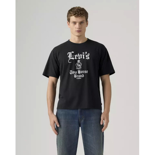 Футболка мужская Levi's® Graphic Boxy Tee